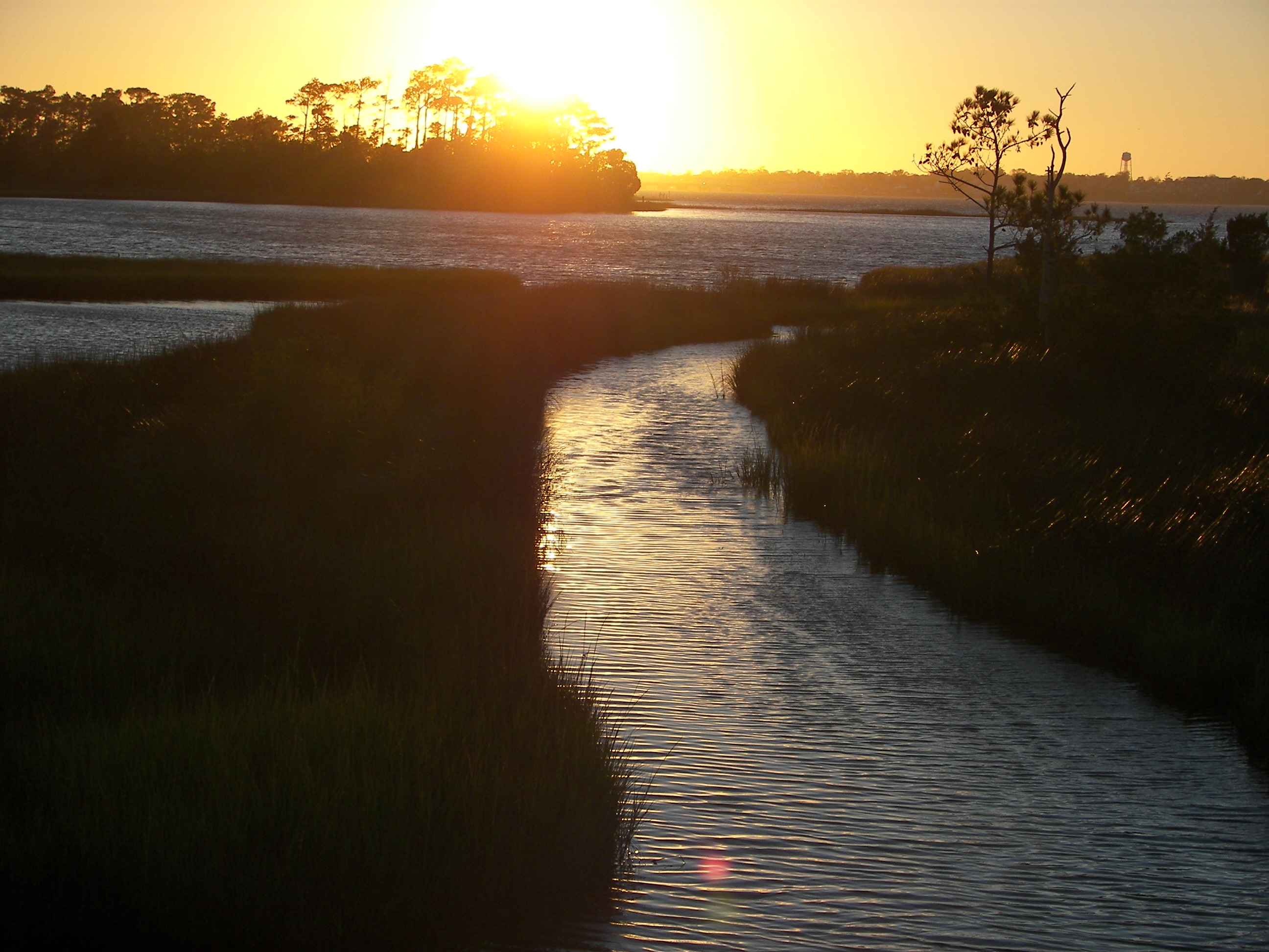 ./2006/Cedar Point/100_1345.JPG